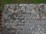 image of grave number 447003